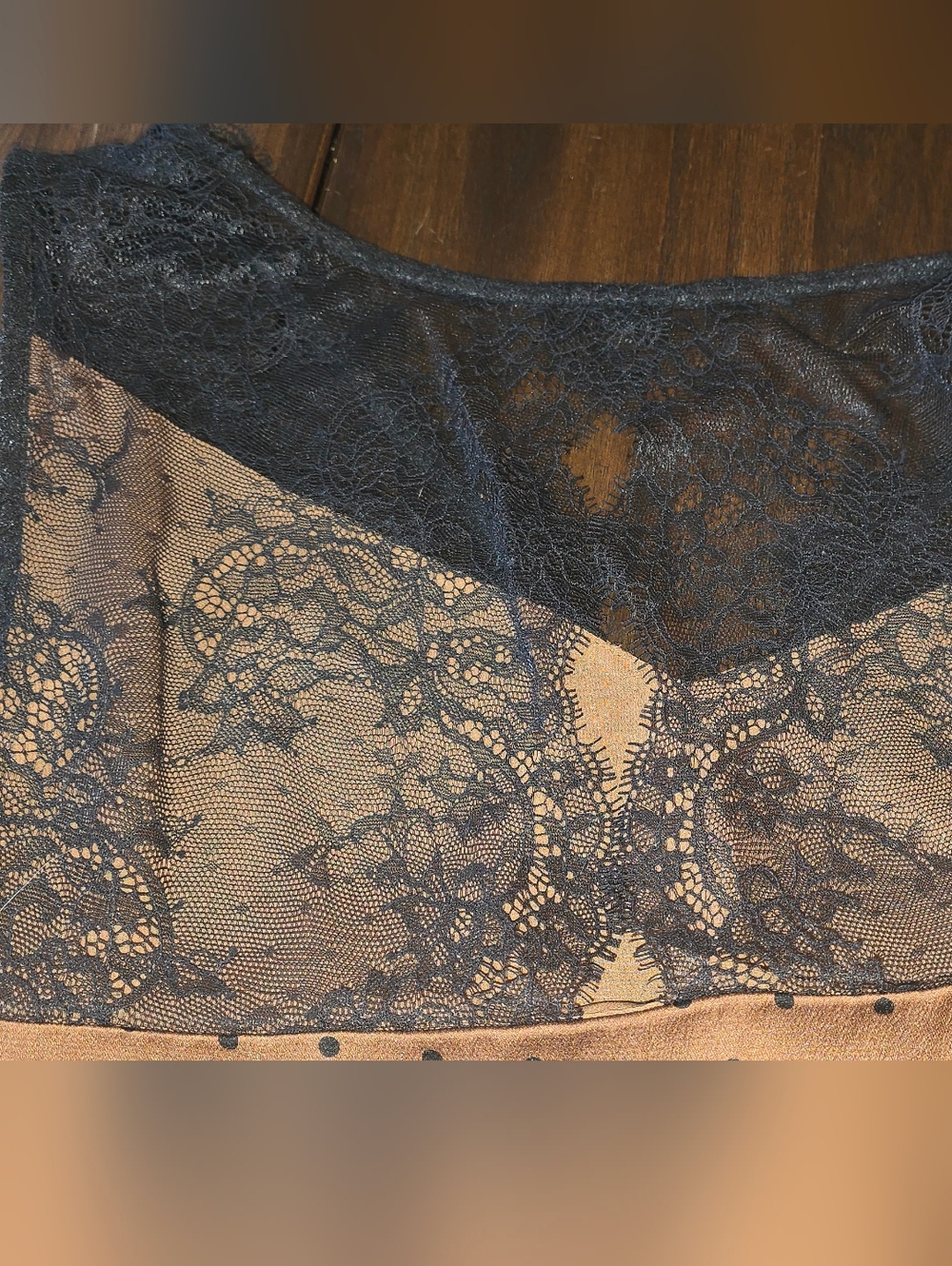 Express Brown Polka Dot Camisole with Black Lace Back - Picture 6 of 7